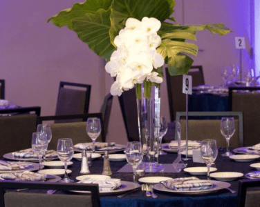 glassware_rentals_private_events