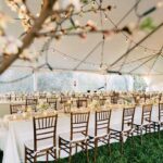 event setup with tent, lights and tree